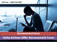 Delta Airlines Reservation image 3